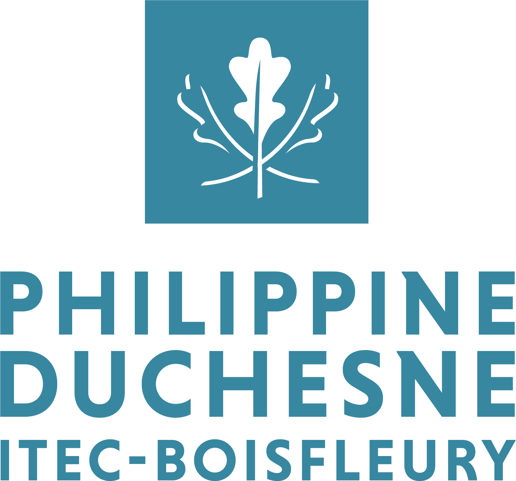 Lycée Philippine Duchesne ITEC Boisfleury